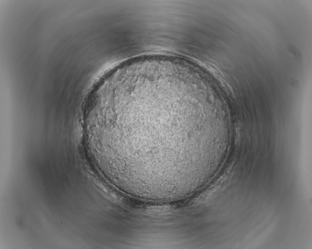 X0000112001363200908241424