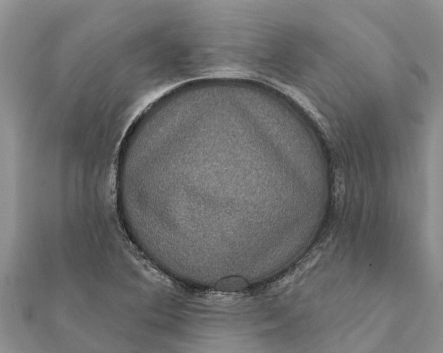 X0000112001364200908241424