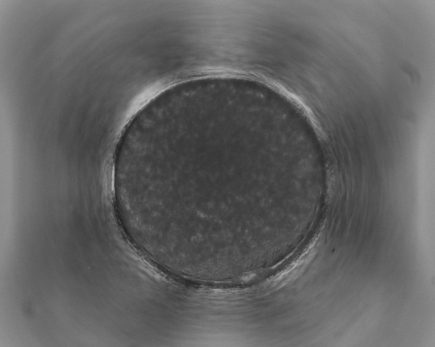 X0000112001365200908241424