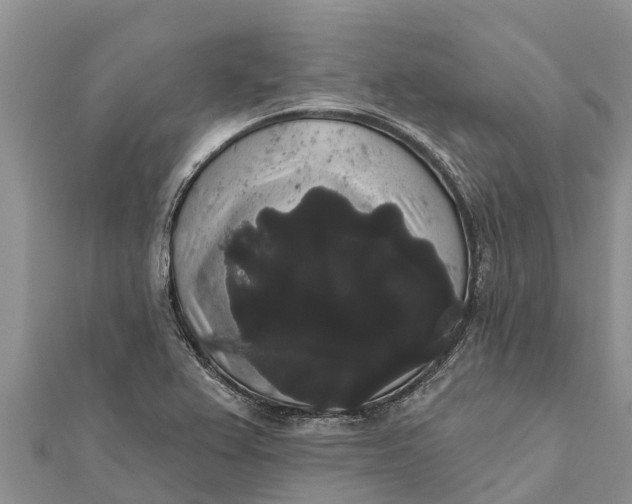 X0000112001367200908241424