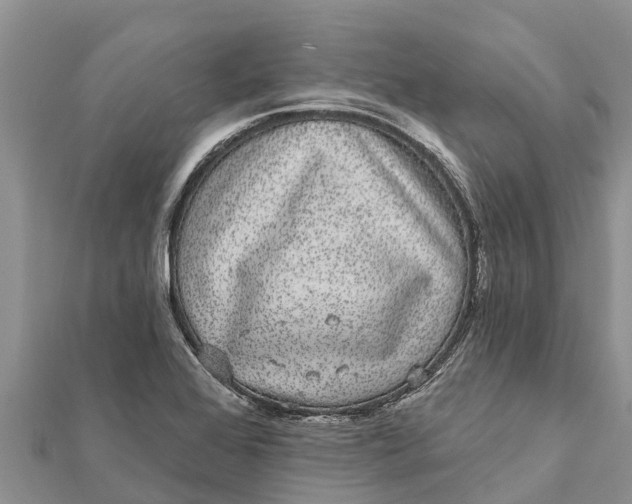 X0000112001368200908241424