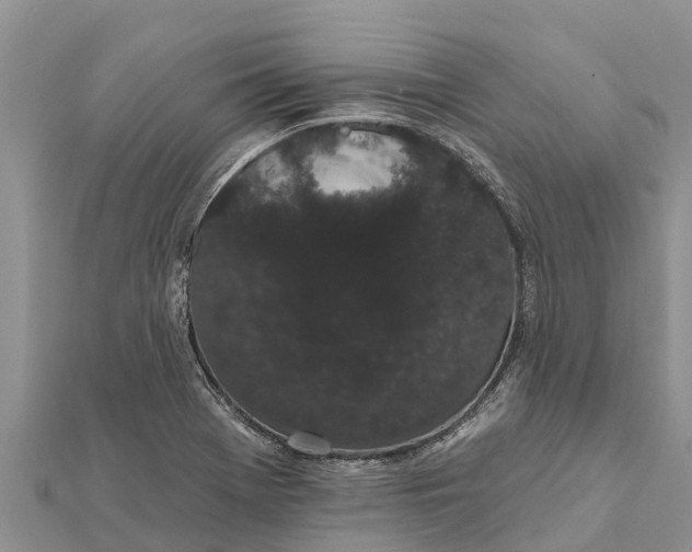 X0000112001369200908241424