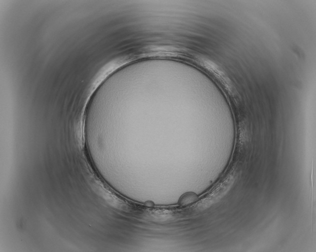 X0000112001370200908241424