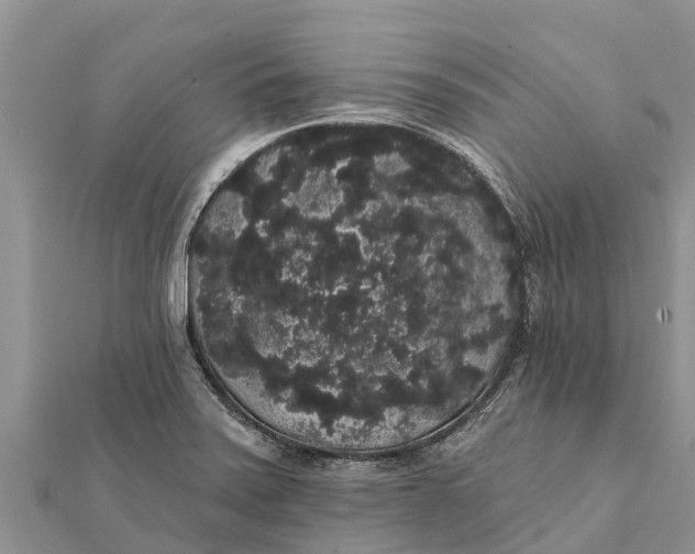 X0000112001371200908241424