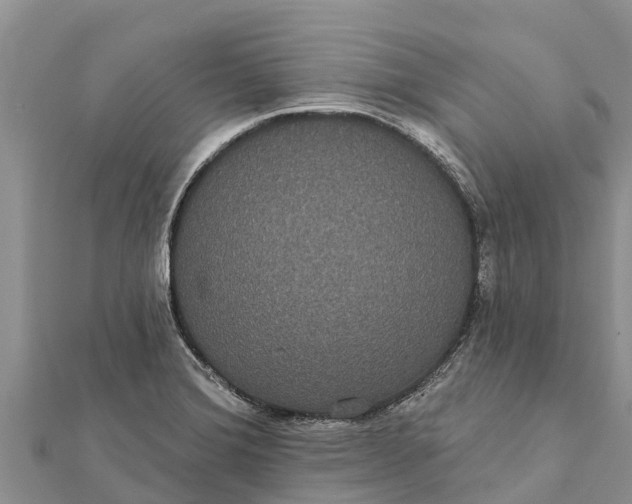 X0000112001372200908241424