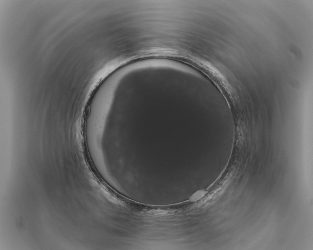 X0000112001373200908241424