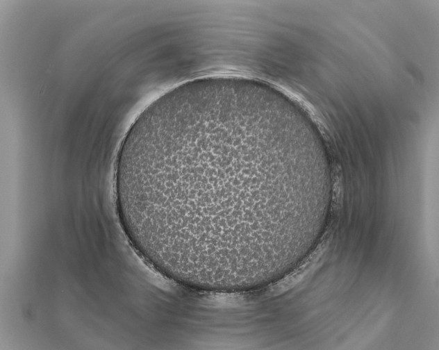 X0000112001375200908241424