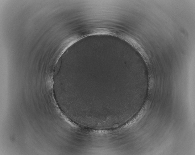 X0000112001377200908241424