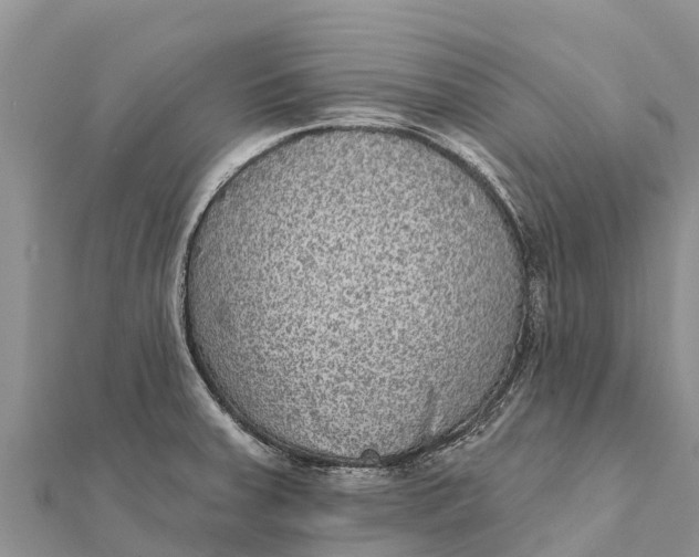 X0000112001379200908241424