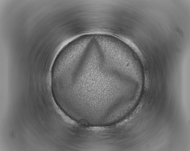 X0000112001380200908241424