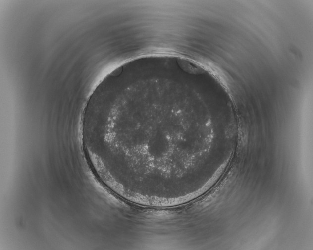 X0000112001382200908241424