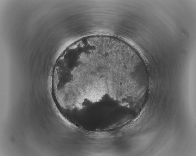 X0000112001383200908241424