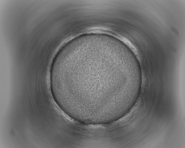 X0000112001384200908241424