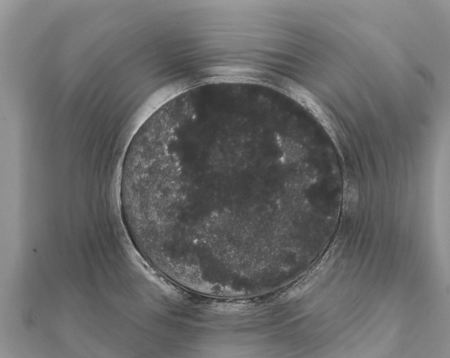 X0000112001386200908241424