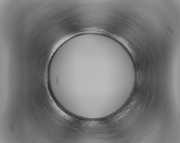 X0000112001387200908241424