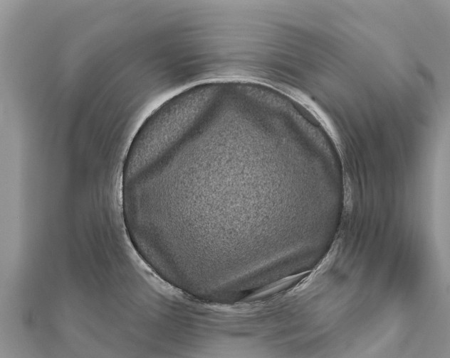 X0000112001388200908241424