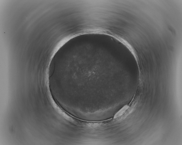 X0000112001389200908241424