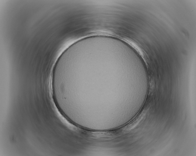 X0000112001391200908241423