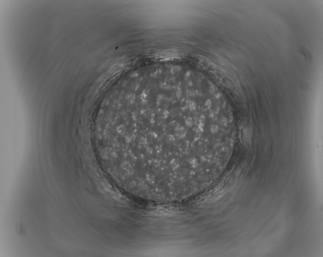 X0000112001393200908241423