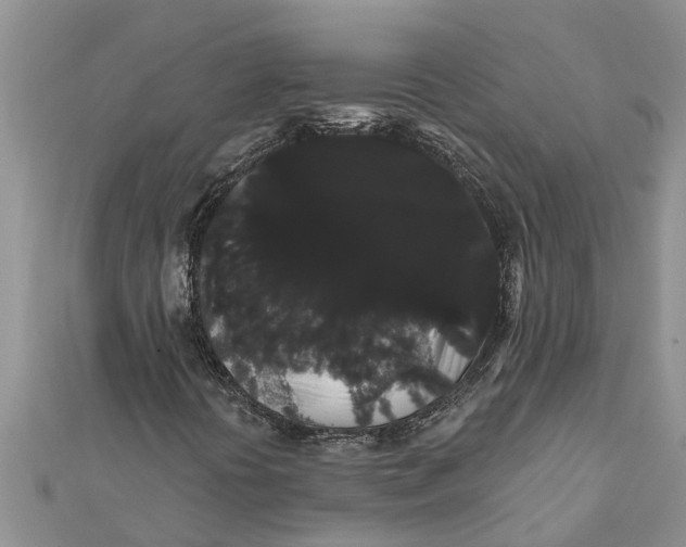 X0000112001394200908241423