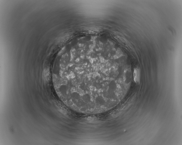 X0000112001395200908241423