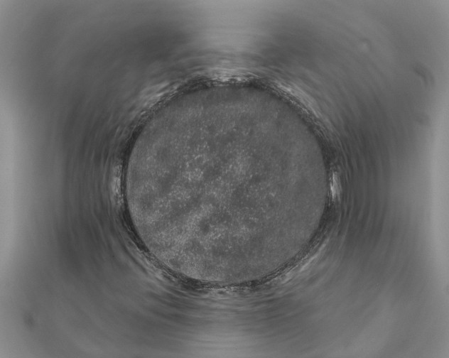 X0000112001396200908241423