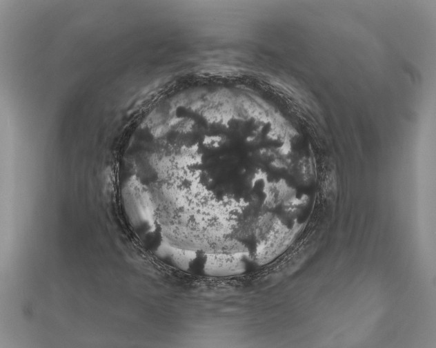 X0000112001397200908241423