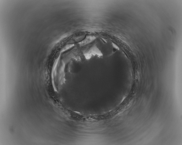 X0000112001398200908241423