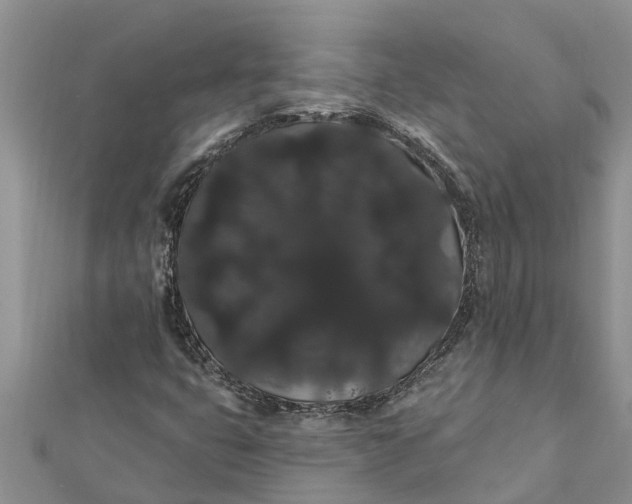 X0000112001399200908241423