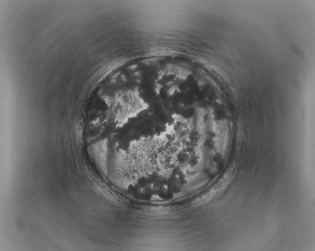 X0000112001401200908241423