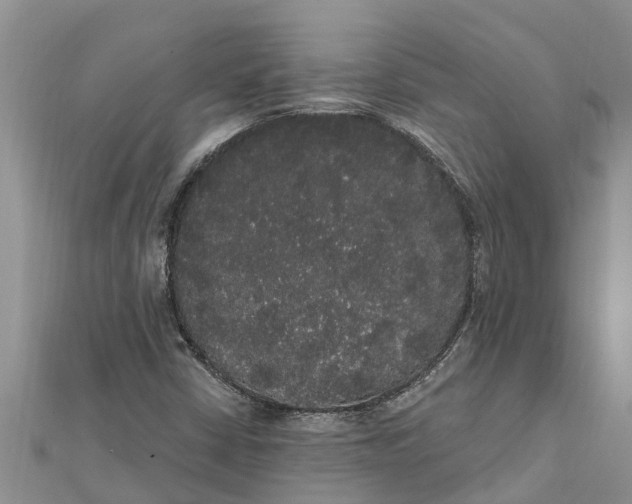 X0000112001402200908241423