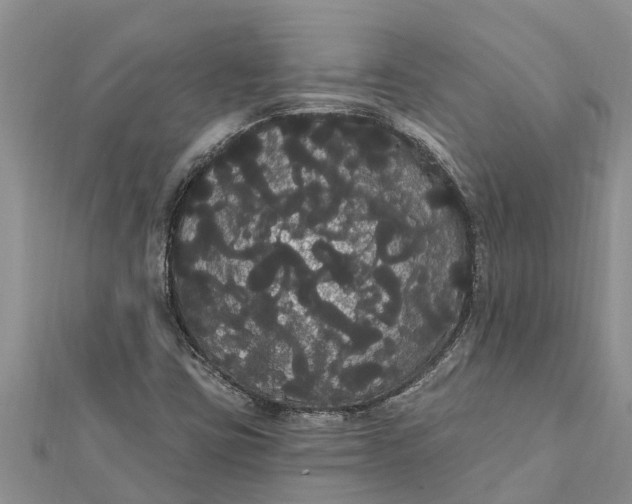 X0000112001403200908241423