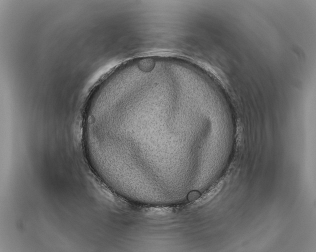 X0000112001406200908241423