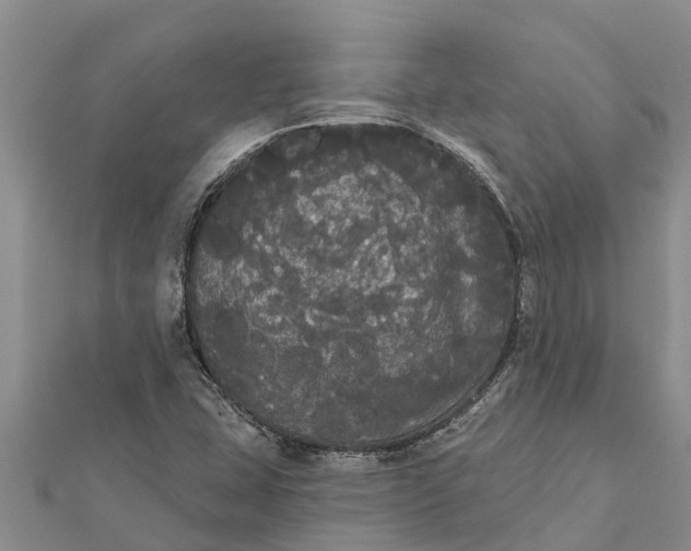 X0000112001407200908241423