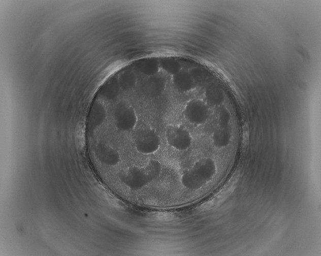 X0000112001409200908241423