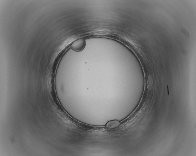 X0000112001410200908241423