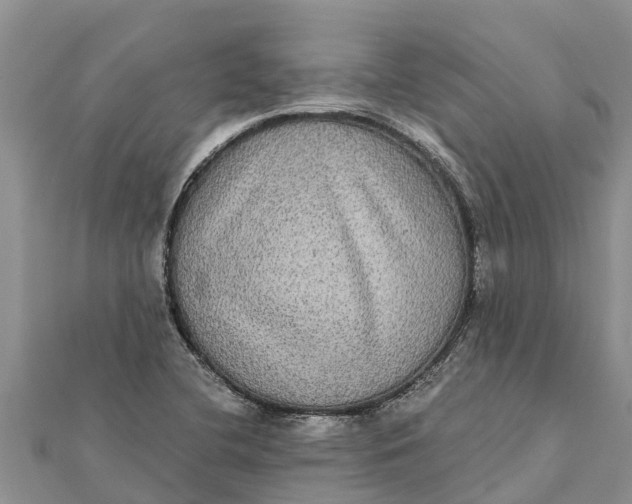 X0000112001412200908241423