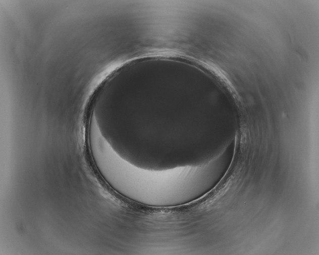 X0000112001414200908241423