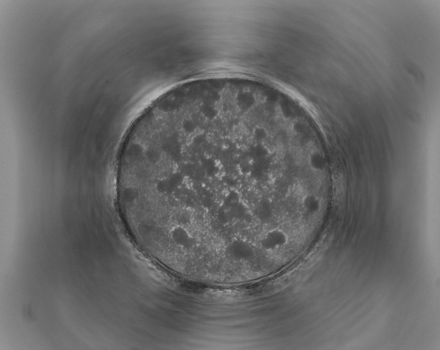 X0000112001415200908241423