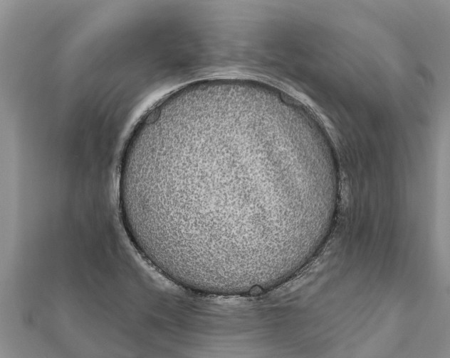 X0000112001416200908241423