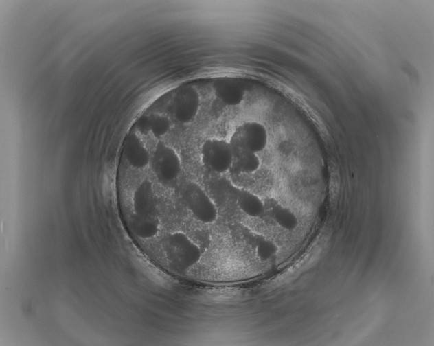 X0000112001417200908241423