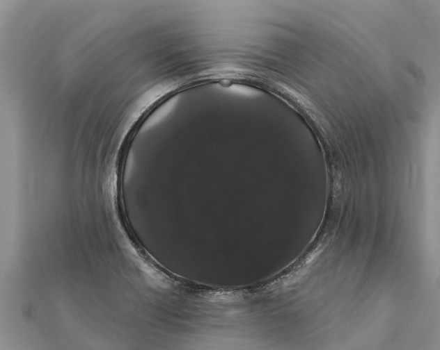 X0000112001418200908241423