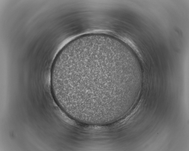 X0000112001420200908241423