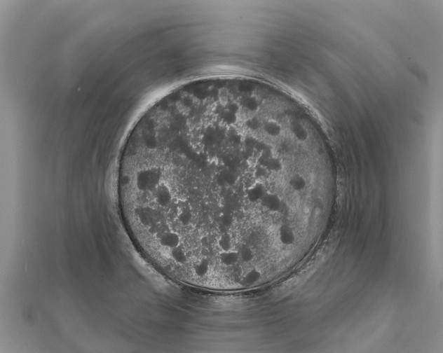 X0000112001421200908241423