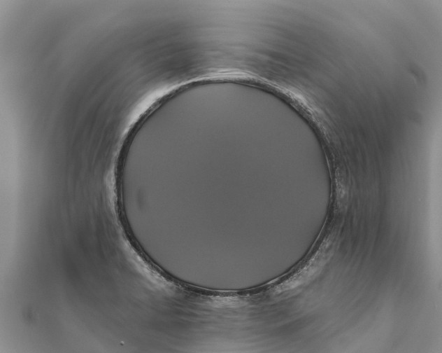 X0000112001422200908241423