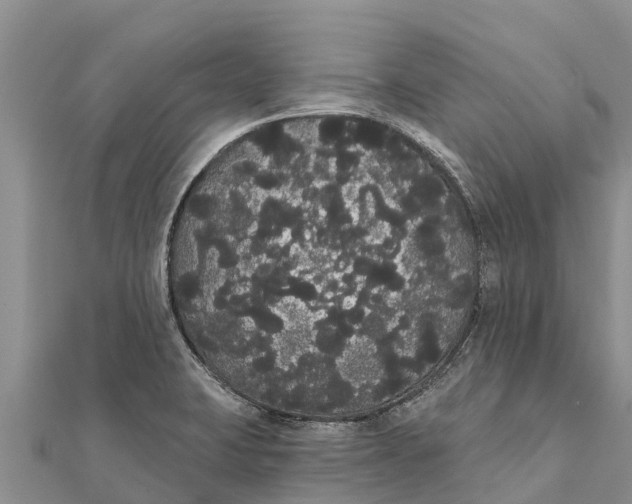 X0000112001423200908241423