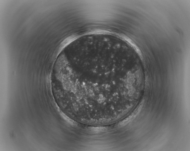 X0000112001425200908241423