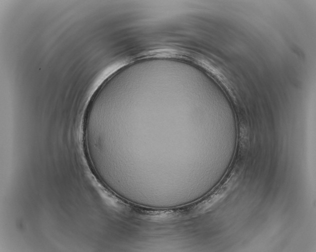 X0000112001426200908241423