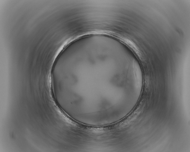 X0000112001428200908241423