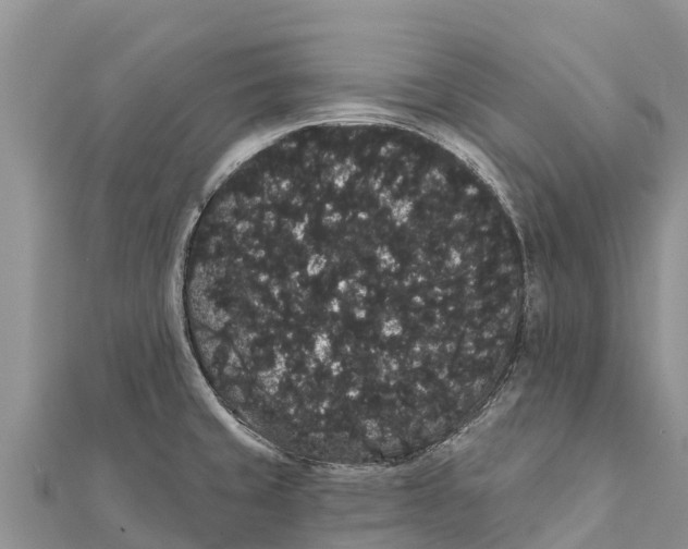 X0000112001429200908241423